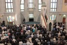 Сурәт - 43 