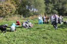 Сурәт - 26 