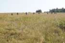 Сурәт - 1 