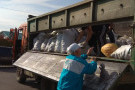 Изображение - 3 