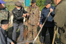 Сурәт - 2 