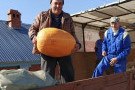 Сурәт - 12 