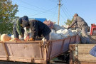 Сурәт - 11 