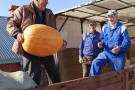 Сурәт - 9 