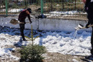 Изображение - 5 