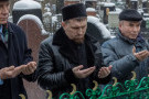 Изображение - 41 