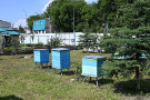 Изображение - 1 