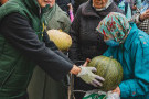 Сурәт - 10 