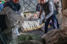 Изображение - 22 