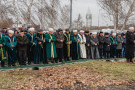 Сурәт - 11 