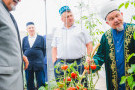 Изображение - 5 