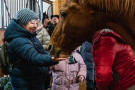 Сурәт - 11 
