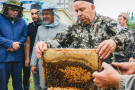 Изображение - 11 