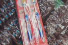 Сурәт - 8 