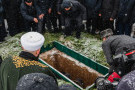 Сурәт - 29 
