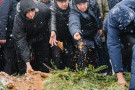 Сурәт - 31 