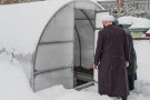 Сурәт - 3 