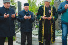 Сурәт - 8 