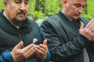 Сурәт - 31 