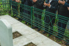 Сурәт - 33 