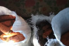 Сурәт - 4 