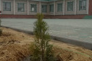Сурәт - 1 