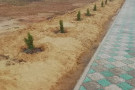 Сурәт - 4 