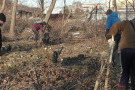 Изображение - 2 