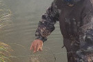Изображение - 2 