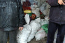Сурәт - 13