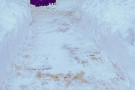 Сурәт - 8 