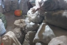 Изображение - 3 