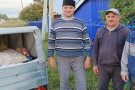 Сурәт - 4 
