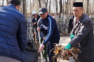 Изображение - 4 