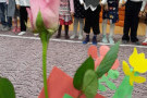 Сурәт - 3 